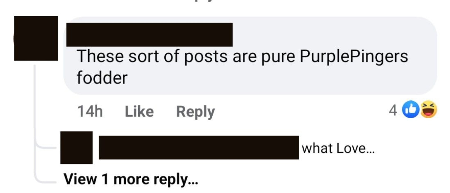 One commenter feared the conversation would draw the attention of viral renter advocate PurplePingers aka Jordan van den Berg.