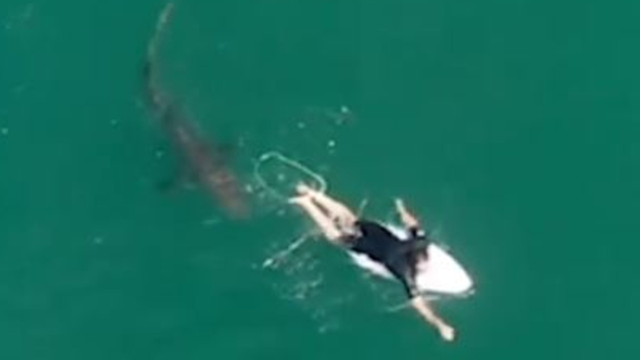 Surfer Matt Wilkinson's Close Encounter with a Shark Caught on Film