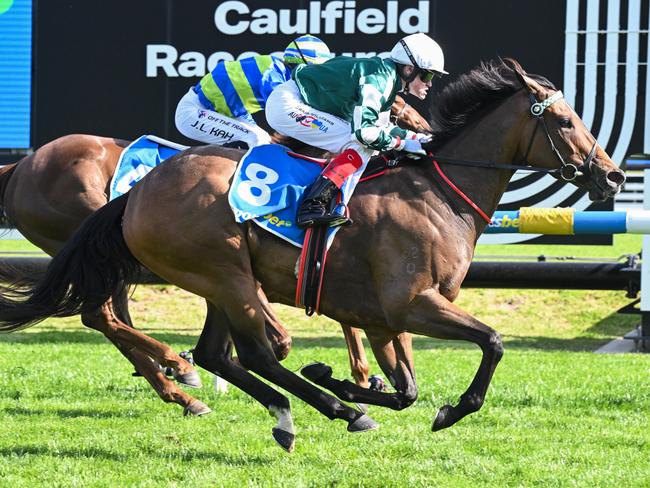 Kimochi ridden by Craig Williams wins the Sportsbet Sir Rupert Clarke Stakes at Caulfield Racecourse on November 16, 2024 in Caulfield, Australia. (Photo by Reg Ryan/Racing Photos via Getty Images)