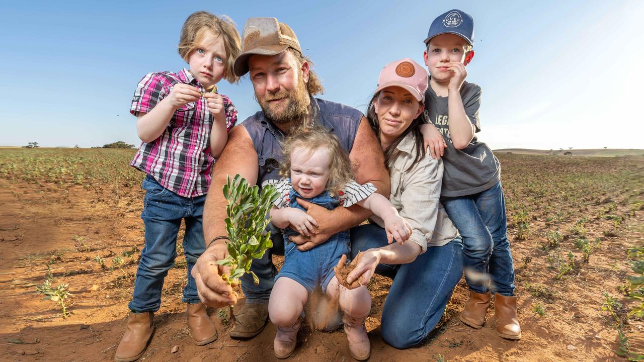 Grim reaper stalking the bush as farmers face state’s toughest drought