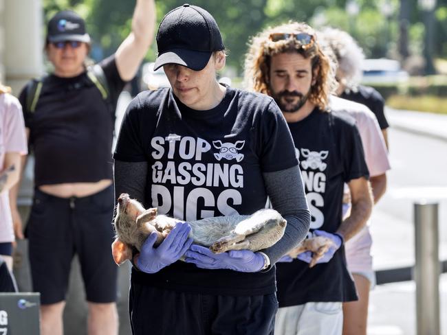 Animal welfare advocacy group Farm Transparency Project carried out the protest. Picture: David Geraghty