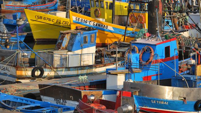 Colourful fishing boats in Portugal.