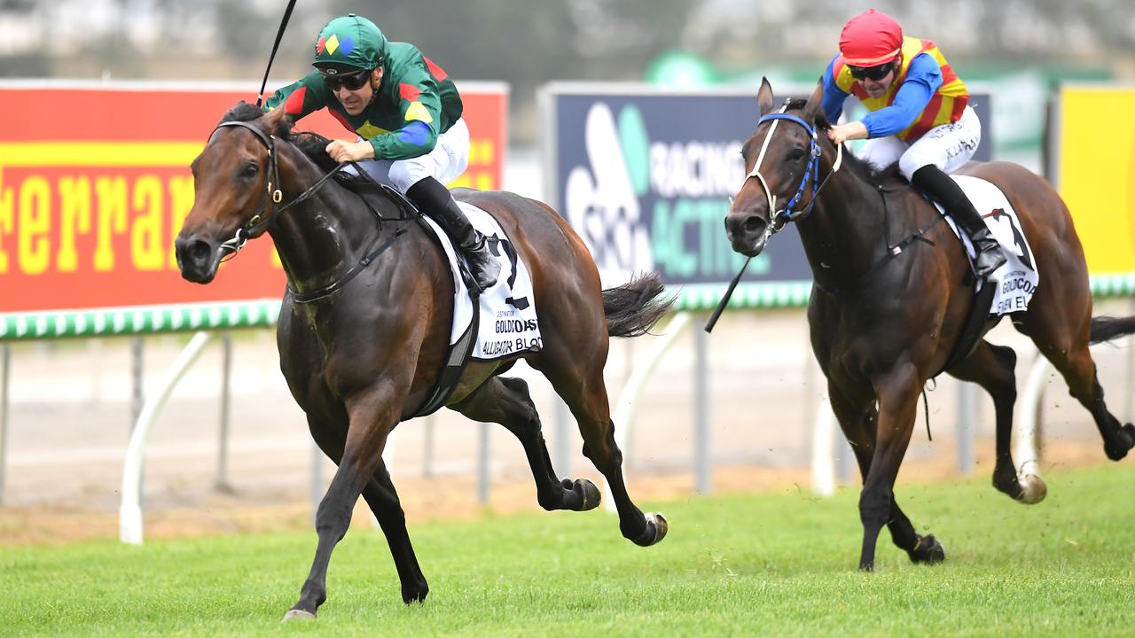 Alligator Blood beat Eleven Eleven home in the 2020 Magic Millions 3YO Guineas only to see the winner later disqualified. Picture: AAP Image–Albert Perez