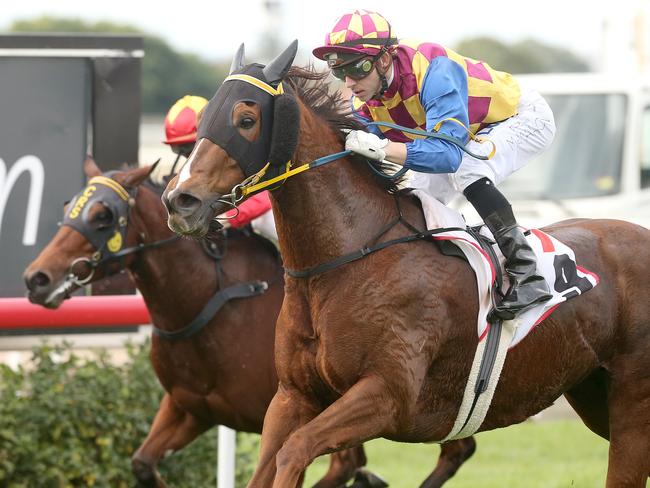 Races at Eagle Farm. Winner race 4, number 9, Ellawisdom, Jockey Ric McMahon. Pic Jono Searle.