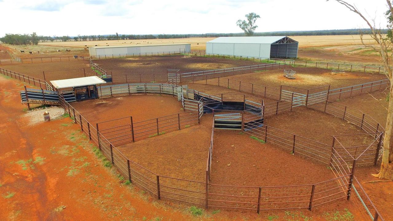 Cattle yards at Dalkeith Station in the western Darling Downs.