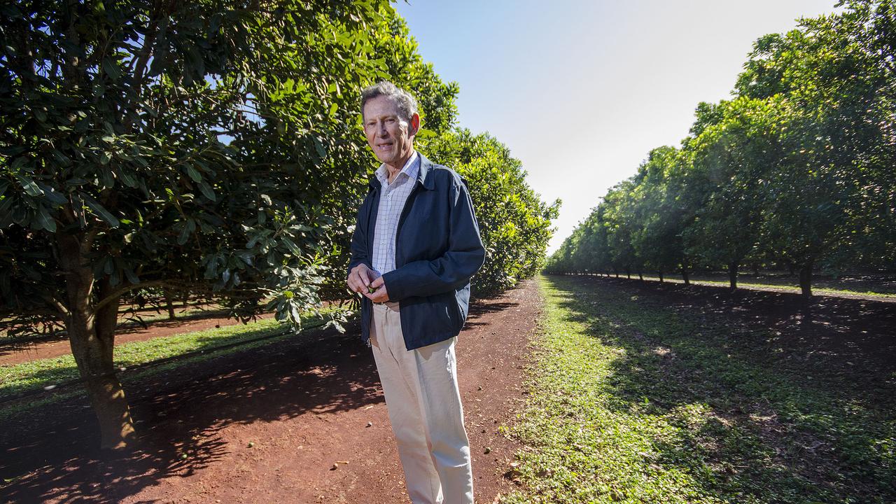 News 9.5.14 Aus. Phil Zadro,81, owner of Hinkler Park Plantations, worlds largest Macadamia nut producer. Pic John Wilson. Aus use only fee applies other mastheads.