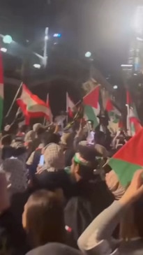 Wild scenes erupt in Sydney amid protest against Israel