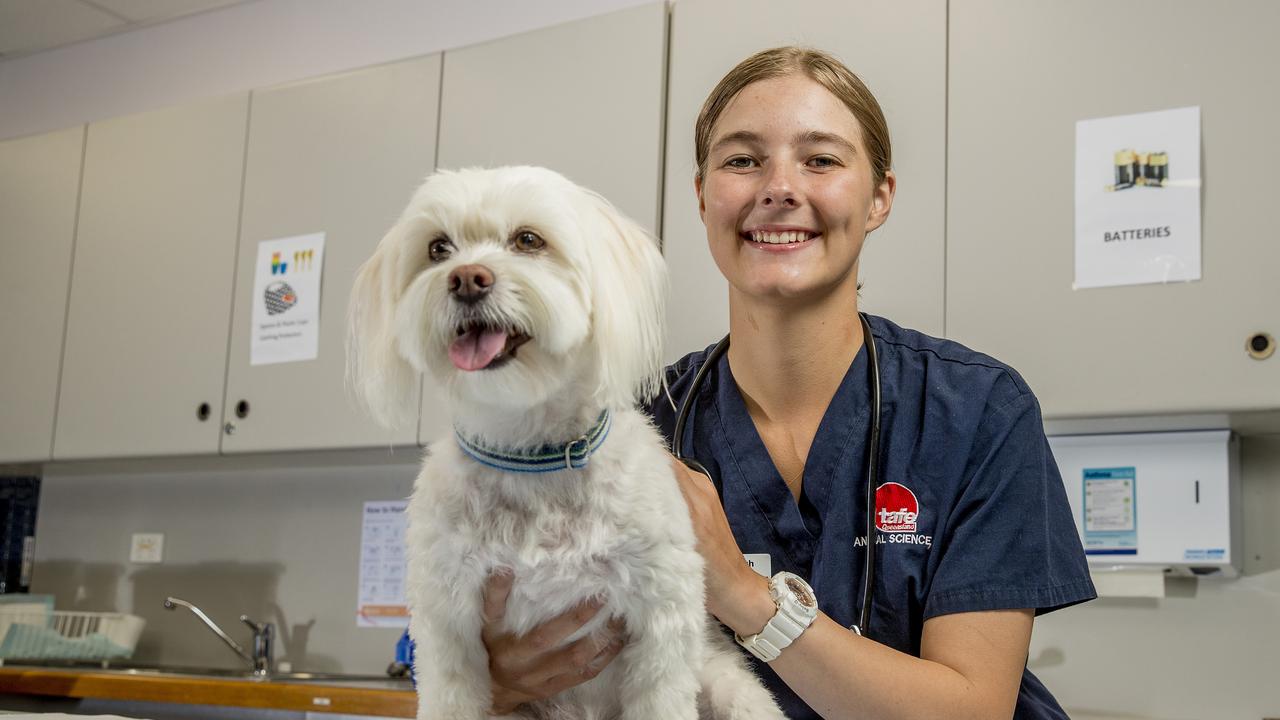 VET certificates giving Gold Coast students a head start on earning