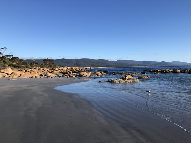 Redbill Beach at Bicheno. Picture: PHILIP YOUNG