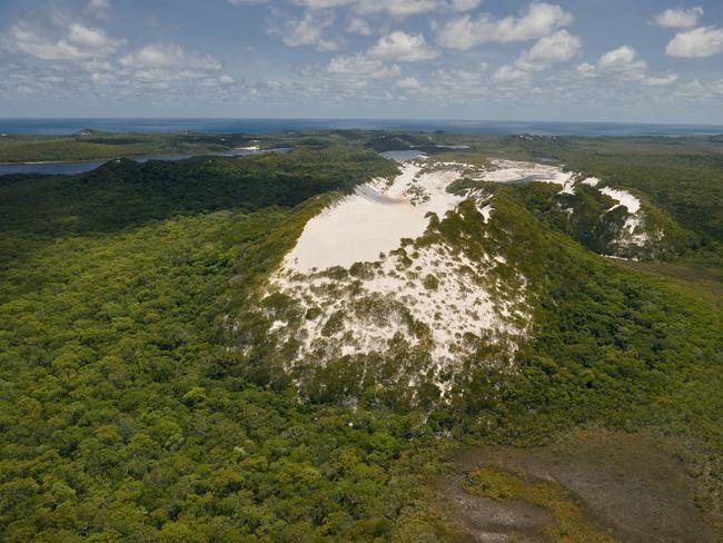 The area in Cape York is rich in biodiversity and includes habitats from tropical forests and woodlands to freshwater ecosystems along more than 300 kilometres of coastline. Picture: Derek Henderson