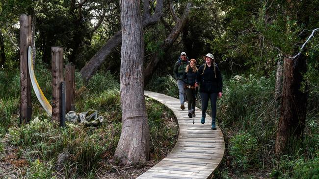 On the trail on the Wild Wellness walk. Picture: Chris Crerar