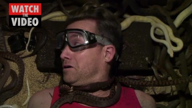 I'm a Celeb 2021: Grant Denyer cries for his daughters while in snake pit