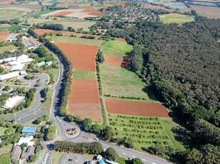 Tweed MP Geoff Provest says talks are "positive” to acquire the site of the $534 million Tweed Valley Hospital at Cudgen.