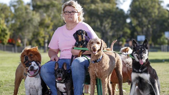 Kirilly Cull is one of the Gold Coast's lead pet investigators. She is talking about the number of Gold Coast pets that go missing every year. Pic Tim Marsden