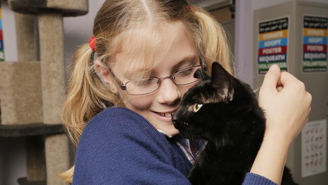 Ten Lives, formerly known as Hobart Cat Centre, launches Edu.Cat