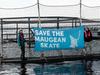 Coalition ready to catch Albanese in salmon net