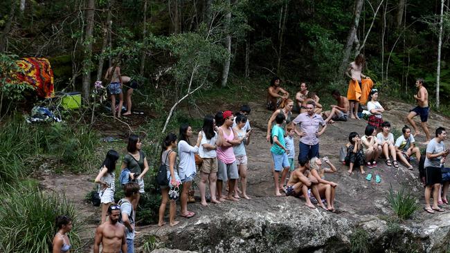 Killarney Glen became ‘over loved’ after it went viral on social media. Photo: Regi Varghese