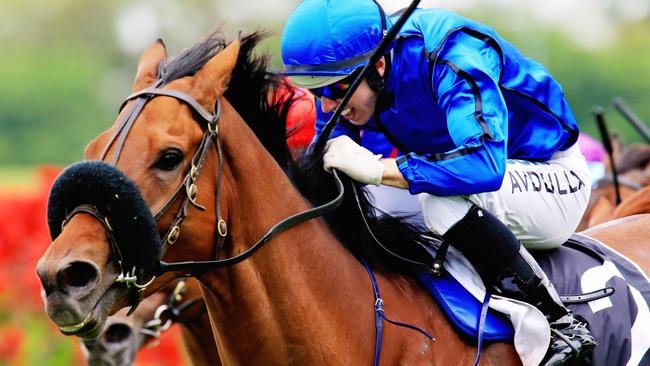 Happy Clapper will return in the Tramway Stakes at Randwick on Saturday. Picture: Jenny Evans