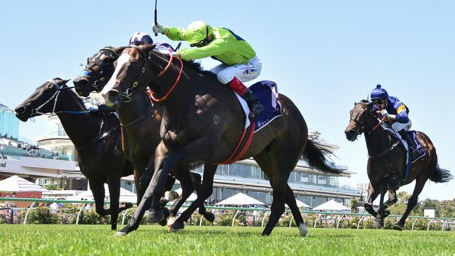 Miraval Rose will shoot for back to back wins when the Grahame Begg-trained mare competes at Sandown. Picture: Racing Photos via Getty Images