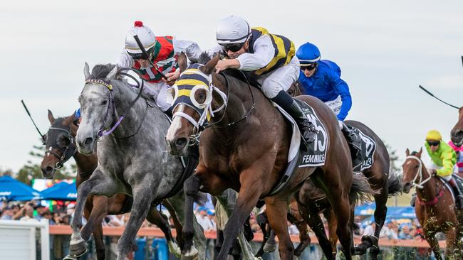 South Australian Derby winner Femminile will attempt to become the first filly to win the Queensland Derby in 15 years. Picture: Makoto Kaneko