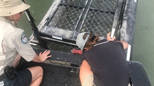 A croc was removed from a trap at Althaus Creek landing, north of Townsville. Picture: Department of Environment and Science