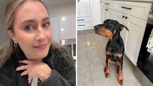 A woman has riled up TikTok viewers after claiming that a stranger offered her $US200,000 ($303,000) for her Doberman pinscher puppy. Picture: TikTok