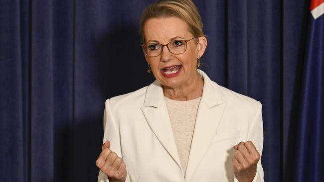 Leader of the Opposition Sussan Ley. Picture: NewsWire / Martin Ollman