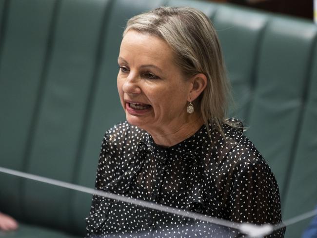 Sussan Ley MP during Question Time at Parliament House in Canberra. Picture: NCA NewsWire / Martin Ollman