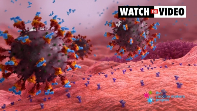 Simple video explains how the Covid vaccine works