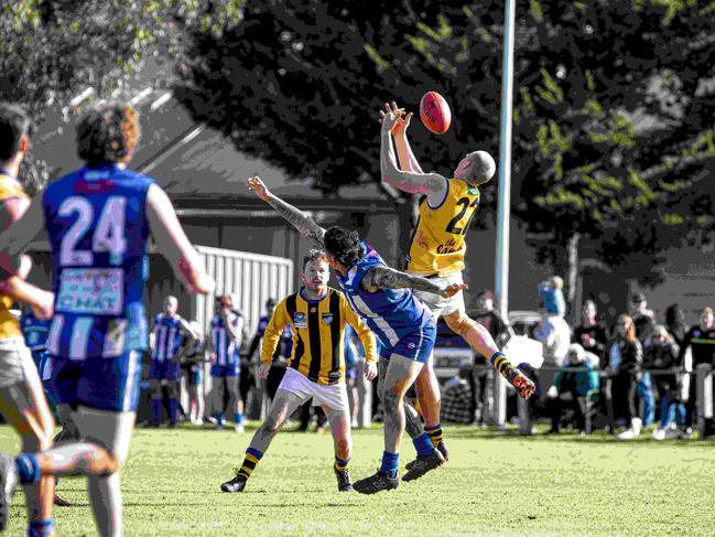 Hampton is through to the grand final. Pictures: SUPPLIED