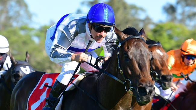 Zoustyle returned with a blistering win at Sunshine Coast. Picture: Trackside Photography