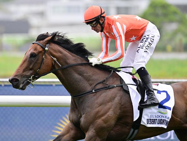 Desert Lightning in full flight winning the Group 1 Otaki-Maori WFA Classic (1600m). Picture: Natasha Wood