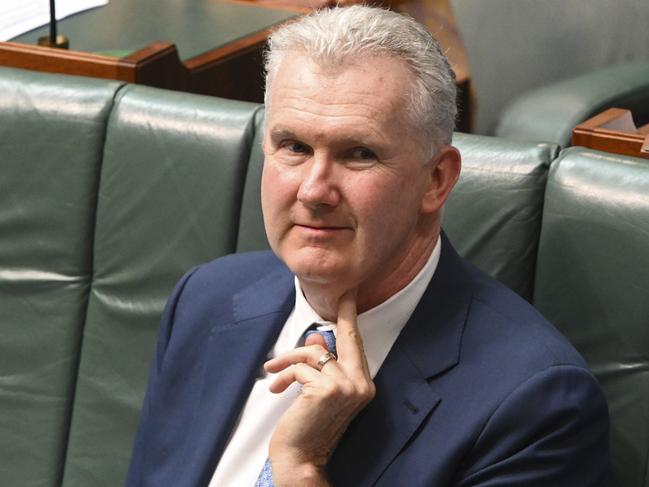 Leader of the House Tony Burke during Question Time at Parliament House in Canberra. Picture: NCA NewsWire/Martin Ollman