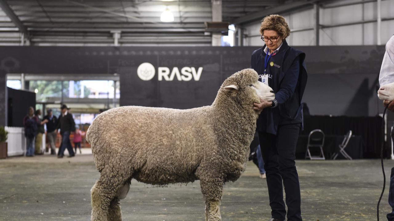 Bron Ellis of Sweetfield Corriedales, Mount Moriac, with the Corriedale champion interbreed ram at the Royal Melbourne Show on September 22, 2019. Photo: Dannika Bonser