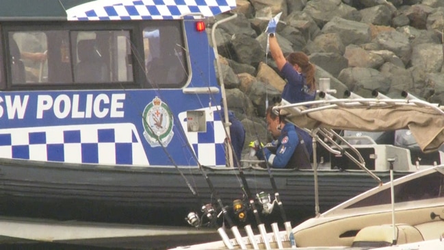 Boat hits whale, one dead | Daily Telegraph