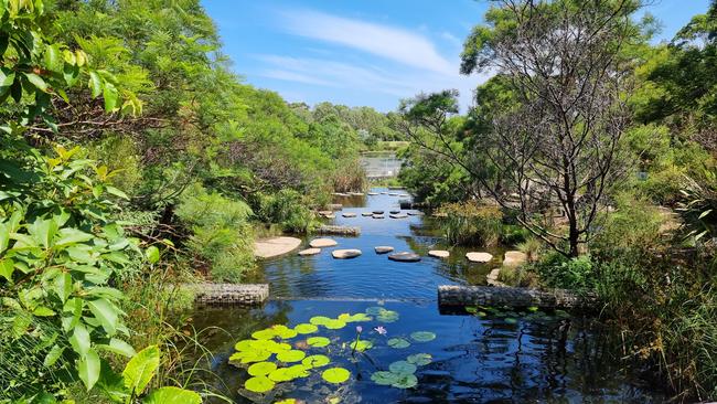 Sydney Park, inner Sydney, taken with the Samsung Galaxy S21 Ultra 5G smartphone