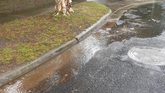 A Glen Eira resident says tree roots have cracked the concrete on Pasadena Cr East Bentleigh causing a tripping hazard and flooding.