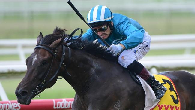 Fukubana wins at Doomben and gives a glimpse of his enormous potential. Picture: Natasha Wood, Trackside Photography.