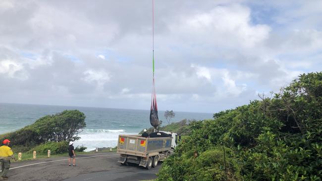 Justin Reeves, of Affinity Aviation, airlifted the whales off the beach in a sling. Picture: NPWS