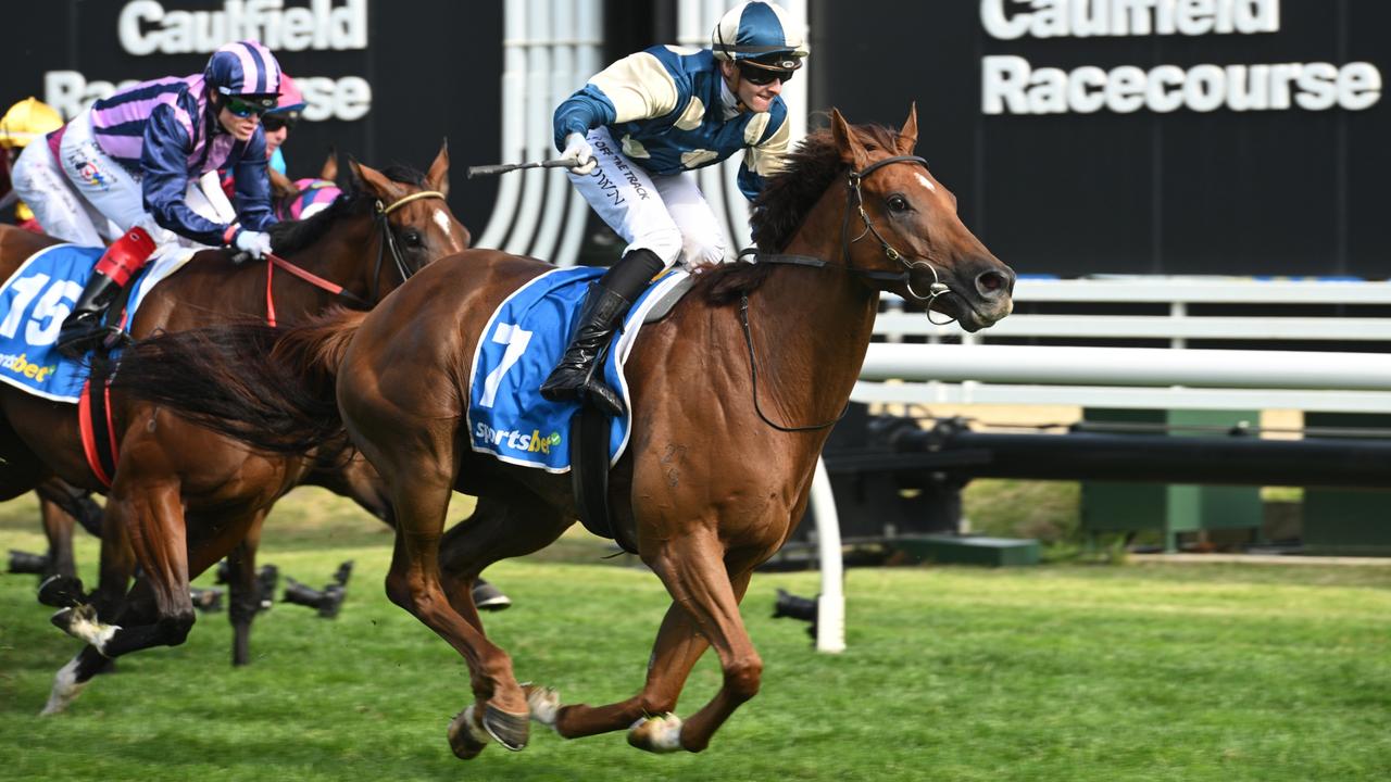 Oakleigh Plate winner Jimmysstar is the opening ‘all-in’ favourite for Saturday’s Group 1 William Reid Stakes at The Valley. Picture: Getty Images