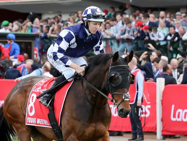 Young Werther (NZ) on the way to the barriers prior to the running of the Ladbrokes Cox Plate at Moonee Valley Racecourse on October 22, 2022 in Moonee Ponds, Australia. (Photo by George Sal/Racing Photos via Getty Images)