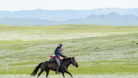 Judith Jaeckle is currently coming 2nd in the Mongol Derby.