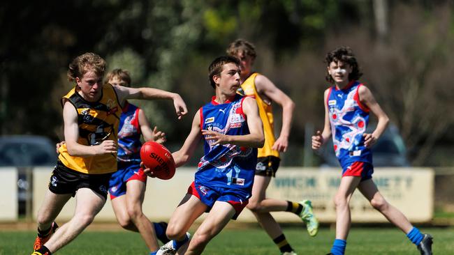 Gippsland went down to North East Border in Division 2. Picture: Luke Hemer/AFL Victoria