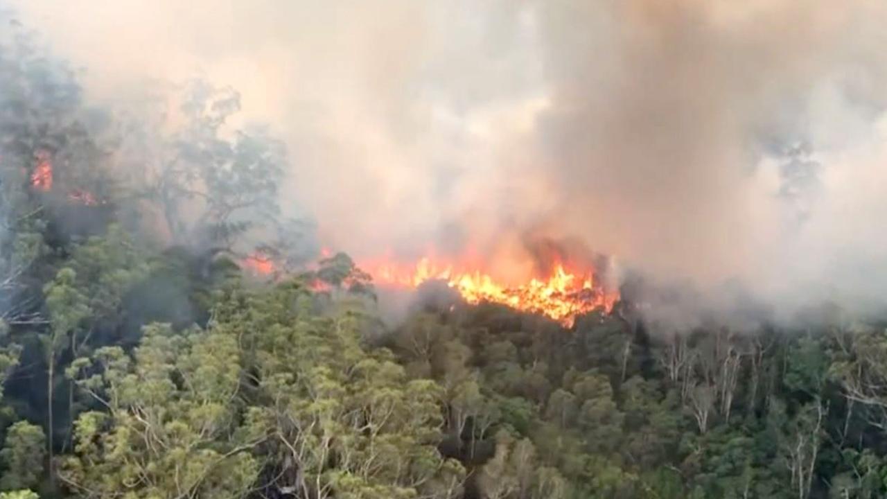 Aerial firefighting at the (K’gari) Fraser Island bushfire. Photo Supplied QFES