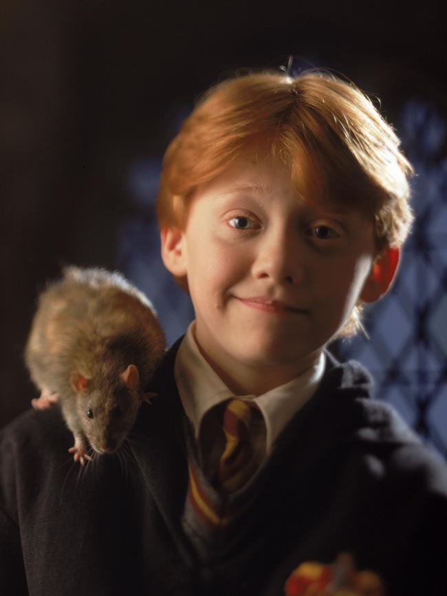 Rupert Grint as Ron Weasley with Scabbers his rat.