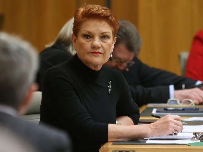 Senator Pauline Hanson at Parliament House in Canberra. Picture: Kym Smith