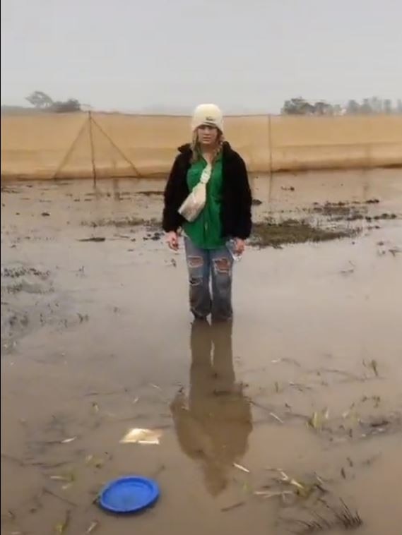 The weather is causing chaos at Splendour in the Grass.