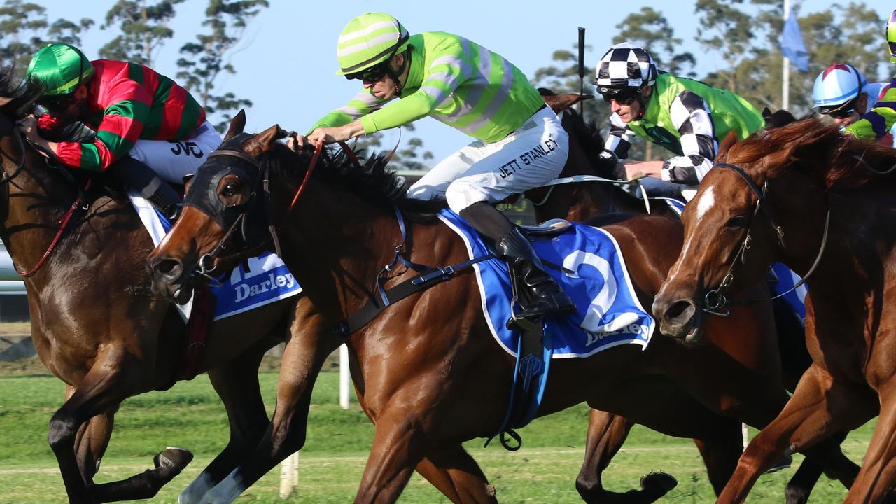 Fire Lane bounced back to winning form at Warwick Farm last start. Picture: Grant Guy