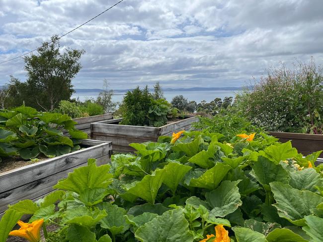 Peter Gilmore’s vegie garden is taking shape at his property in Tasmania. Picture: Supplied