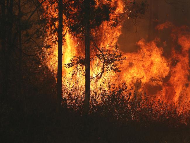Firefighters battle bushfires in Busbys Flat, northern NSW, Wednesday, October 9, 2019. (AAP Image/Jason O'Brien)